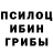 Псилоцибиновые грибы Psilocybe Azika 950_950
