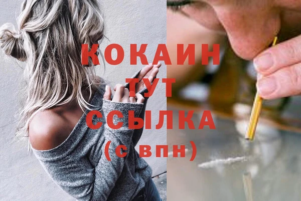 скорость mdpv Каменка