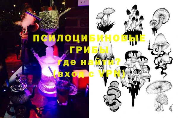 стаф Каменск-Шахтинский