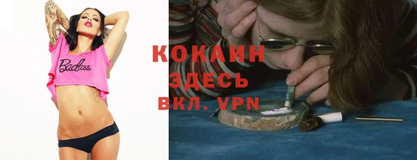 стаф Каменск-Шахтинский