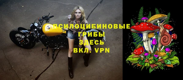a pvp Каменногорск