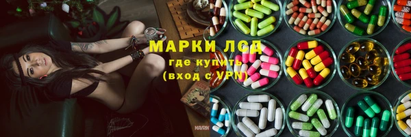 a pvp Каменногорск