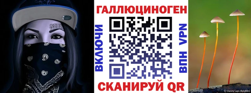 Купить  Райчихинск  Галлюциногенные грибы Cubensis 
